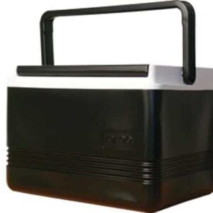 Portable cooler for 12-pack beverages, ideal for outdoor events and parties.