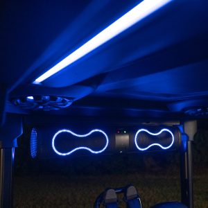 Blue LED lights and speakers in vehicle interior